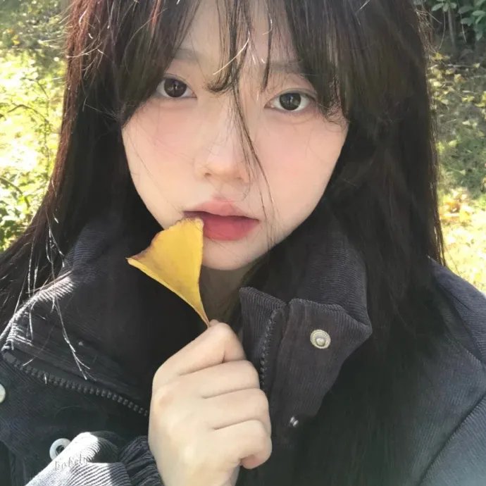 彗星美人